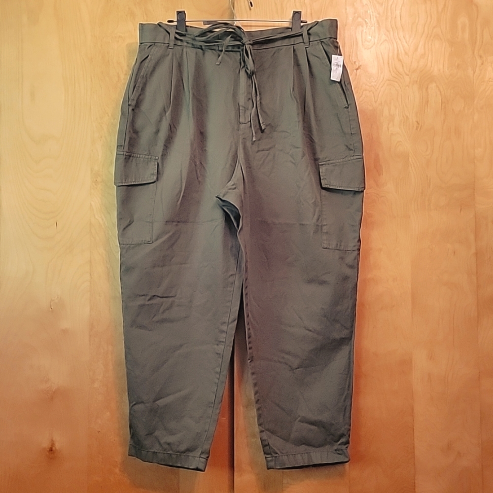GAP Pleated Cypress Cargo Pants